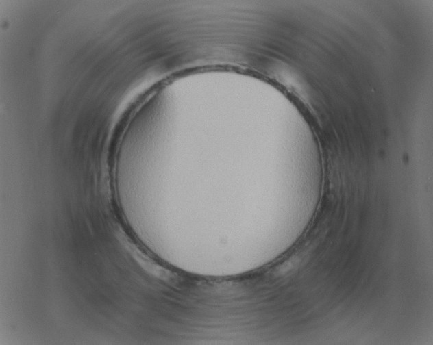 X0000077381072200611101723