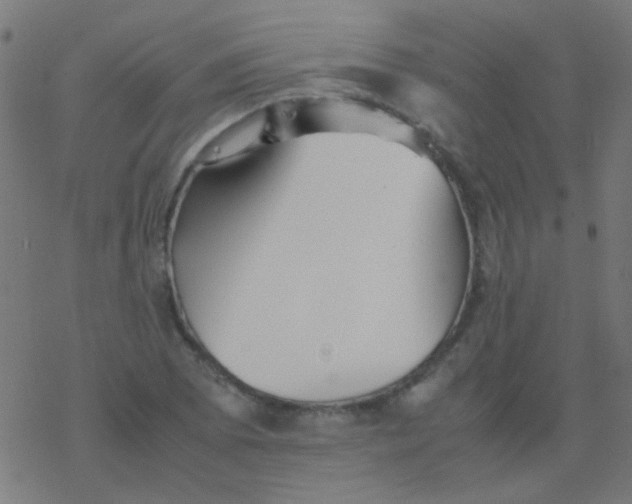 X0000077381073200611101723