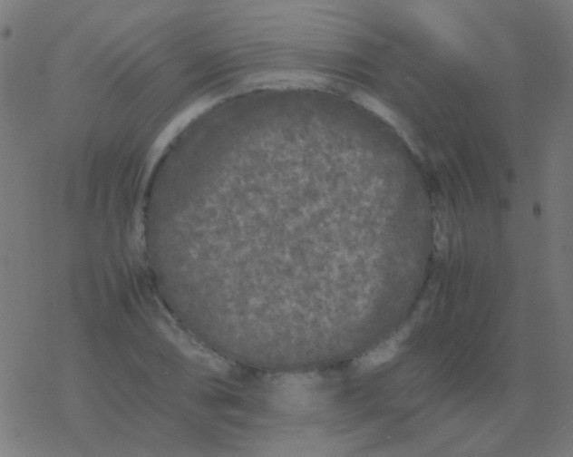 X0000077381074200611101723