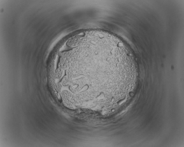 X0000077381075200611101723