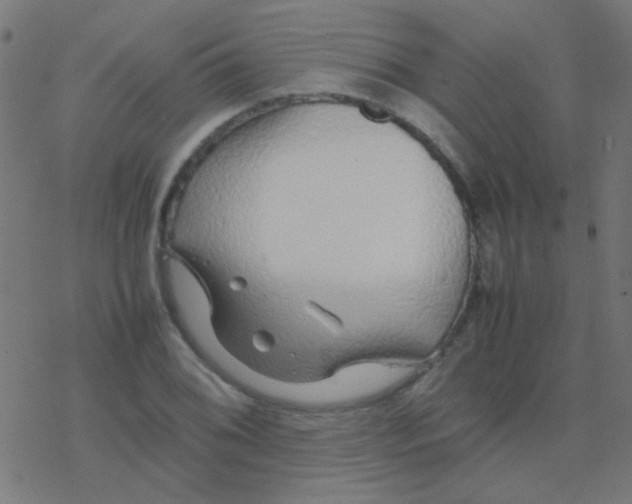 X0000077381076200611101723