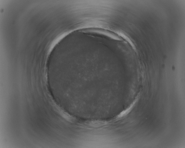 X0000077381077200611101723