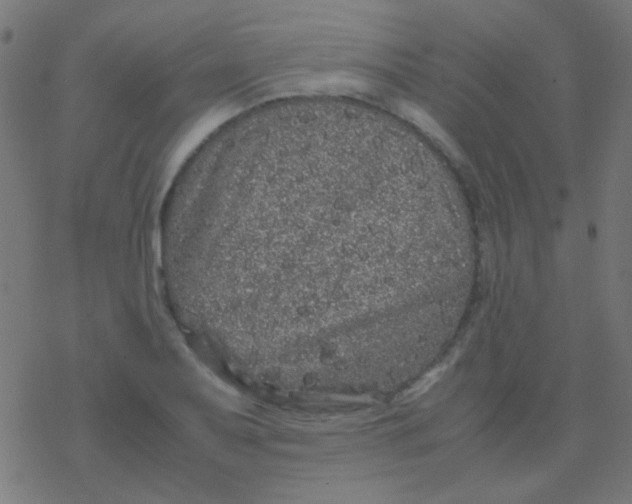 X0000077381079200611101723