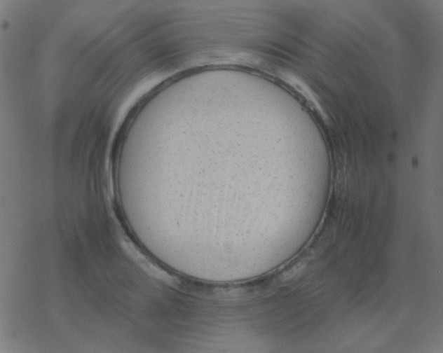 X0000077381080200611101723