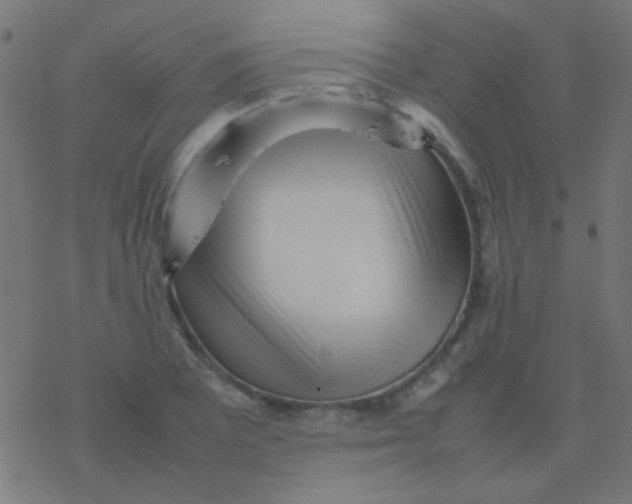 X0000077381081200611101723