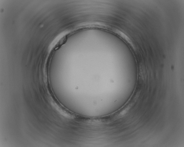 X0000077381082200611101723