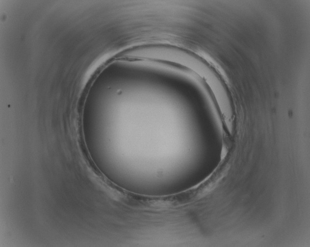 X0000077381085200611101723