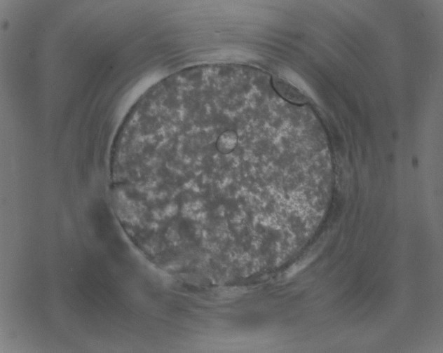 X0000077381087200611101723