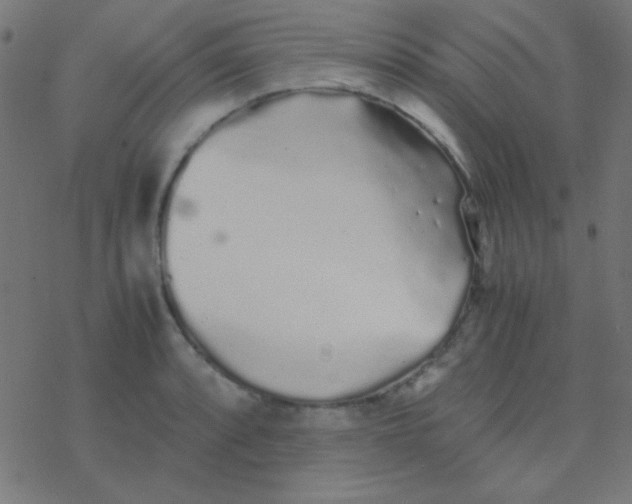 X0000077381088200611101723