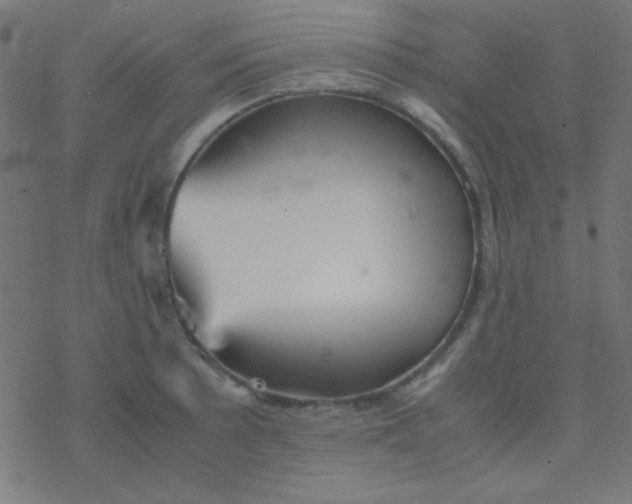 X0000077381089200611101723