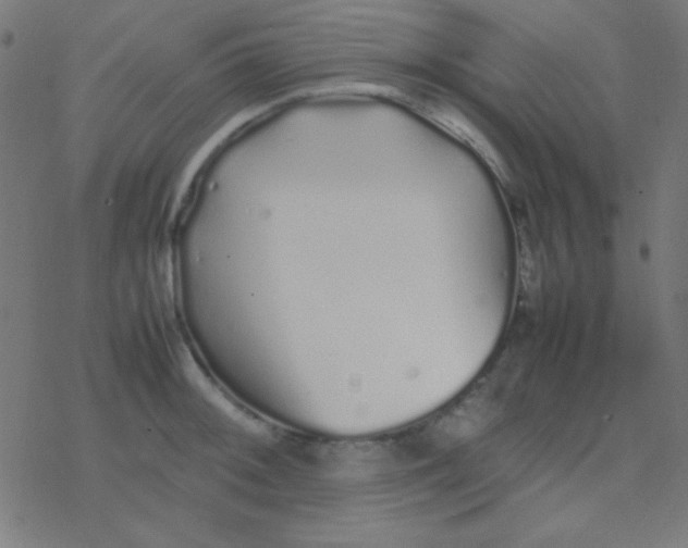 X0000077381092200611101723