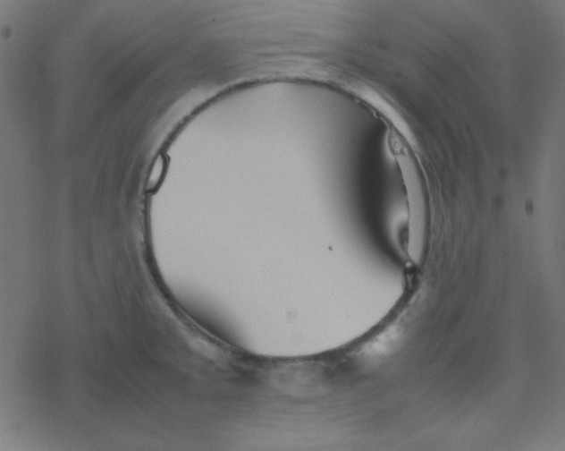 X0000077381093200611101723