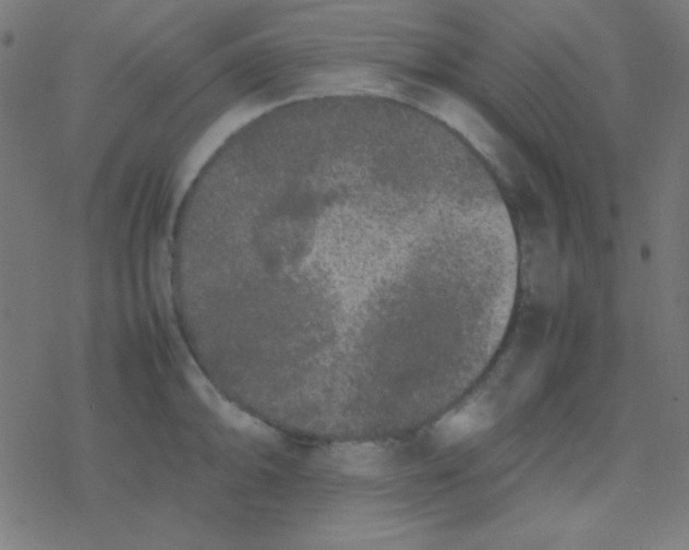 X0000077381094200611101723