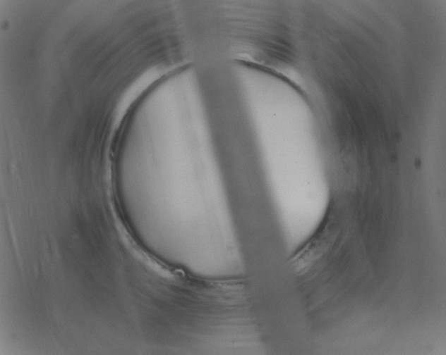 X0000077381096200611101723