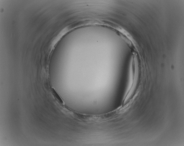 X0000077381097200611101723