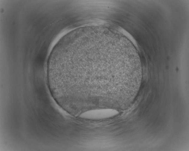 X0000077381099200611101723