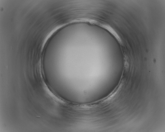 X0000077381100200611101723