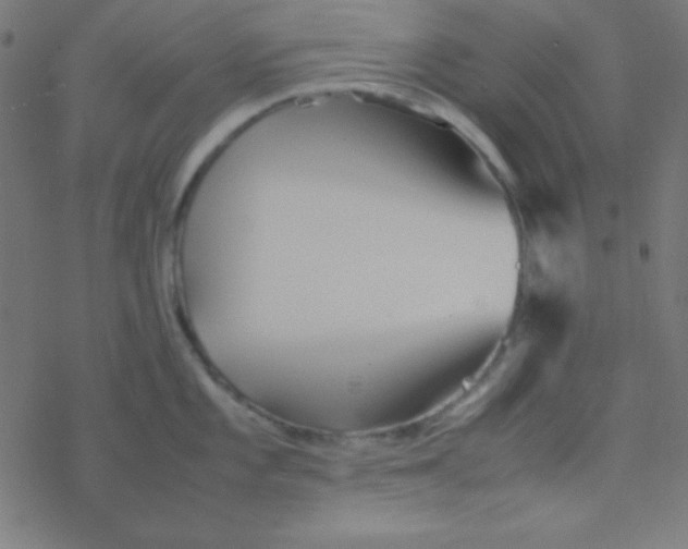 X0000077381101200611101723