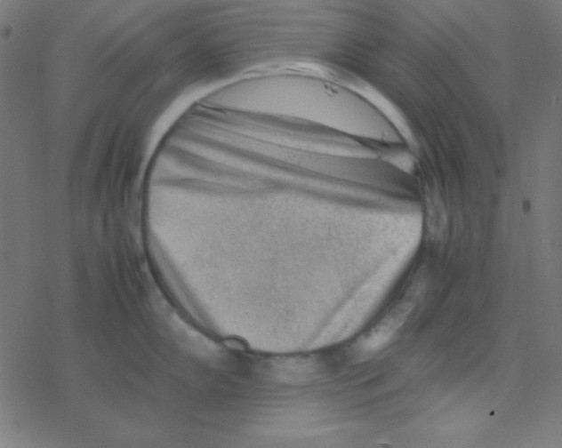 X0000077381102200611101723