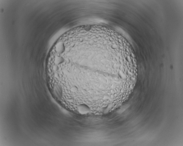 X0000077381103200611101723