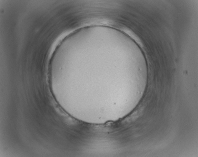 X0000077381104200611101723