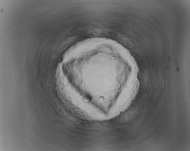 X0000077381105200611101722