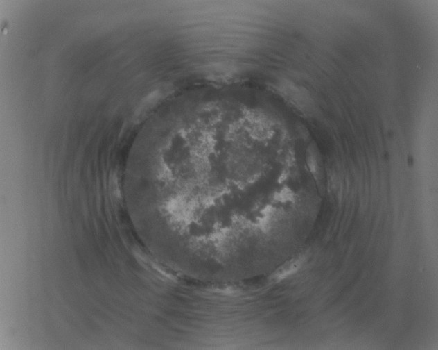 X0000077381106200611101722