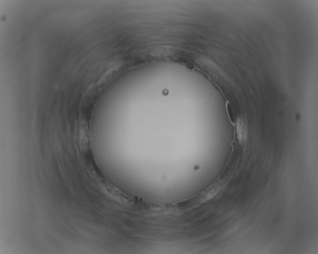 X0000077381107200611101722