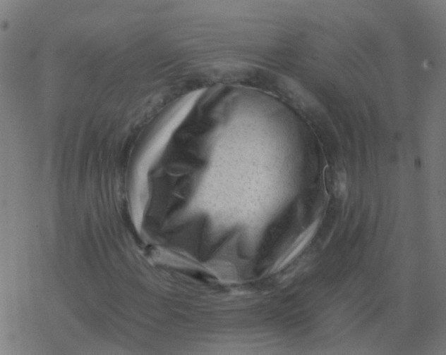 X0000077381108200611101722