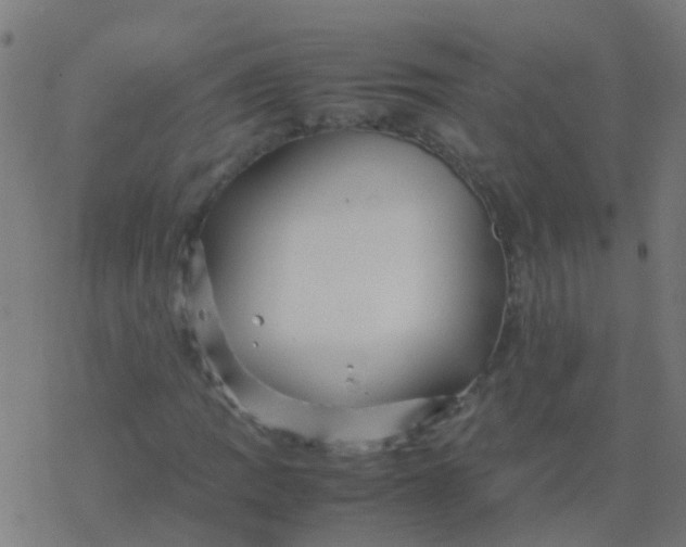 X0000077381109200611101722