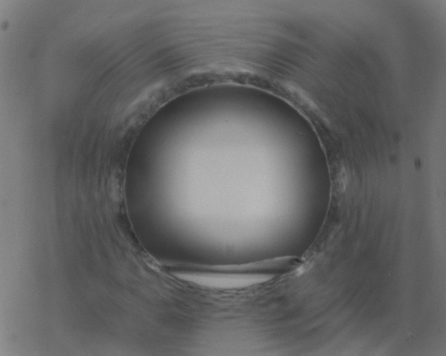 X0000077381110200611101722