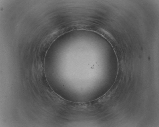 X0000077381111200611101722