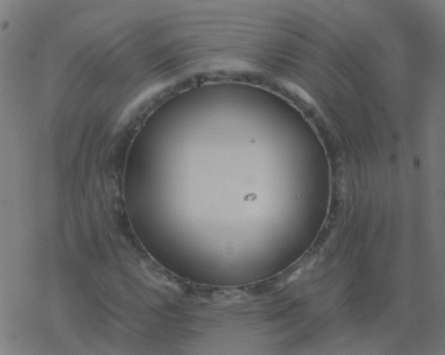 X0000077381112200611101722