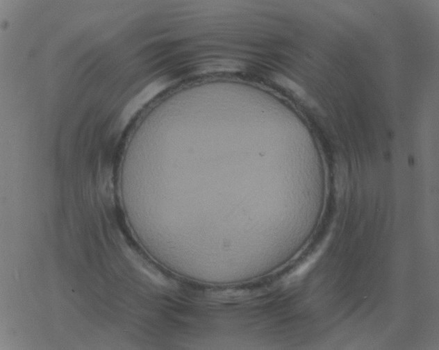 X0000077381113200611101722