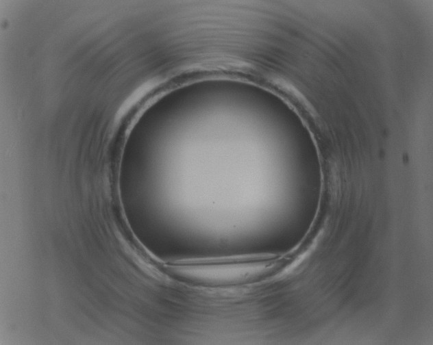 X0000077381114200611101722