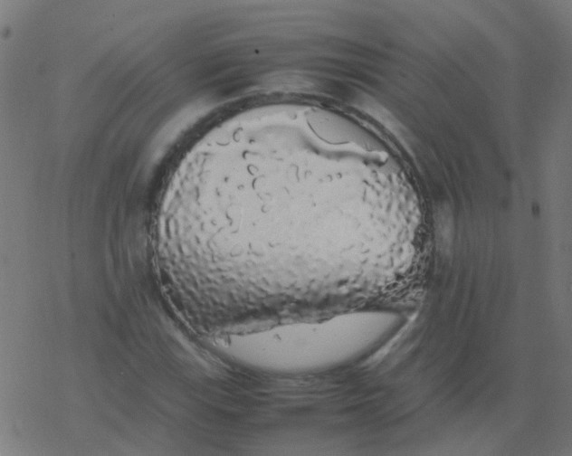 X0000077381115200611101722