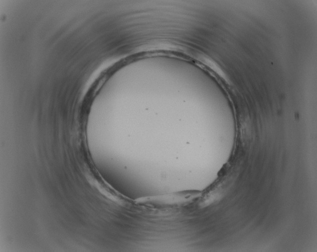 X0000077381116200611101722