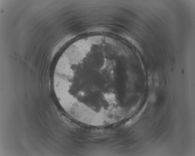 X0000077381117200611101722