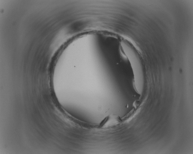 X0000077381118200611101722