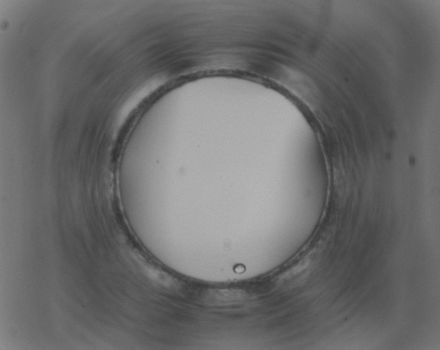 X0000077381119200611101722