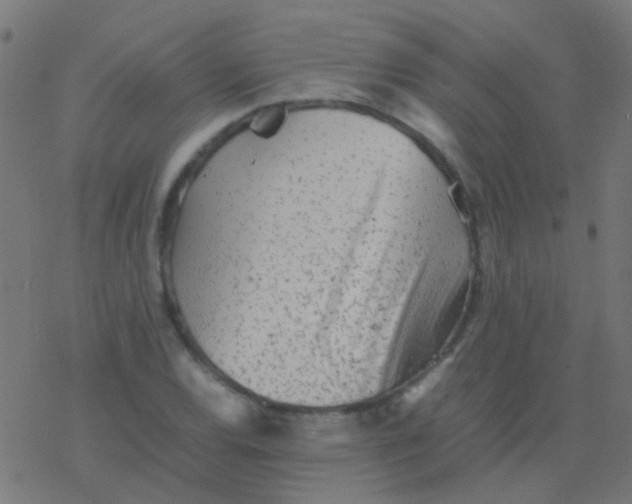 X0000077381120200611101722