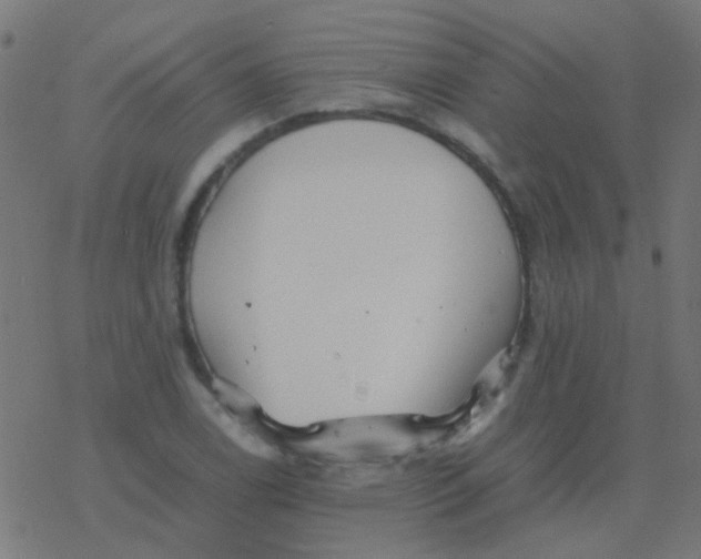 X0000077381122200611101722