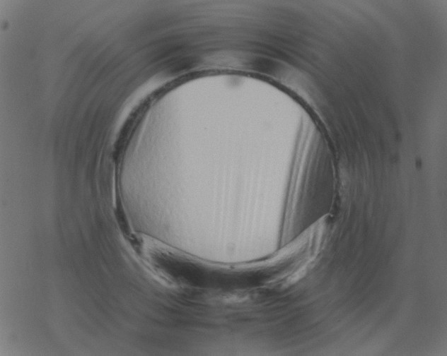 X0000077381123200611101722