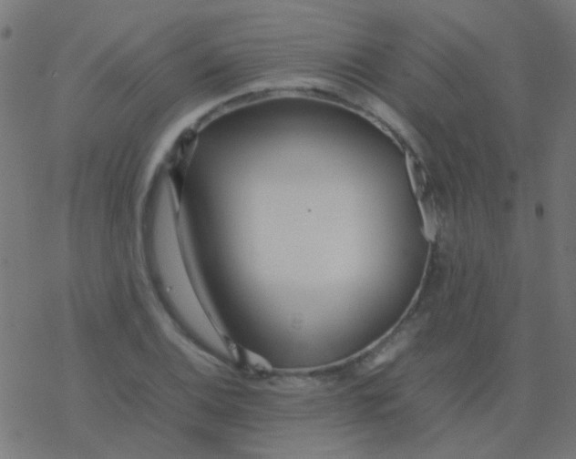 X0000077381124200611101722