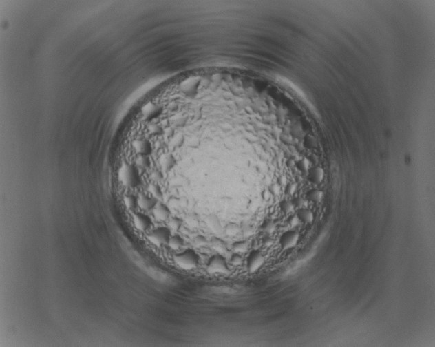 X0000077381125200611101722