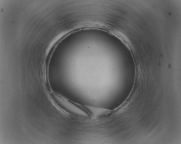 X0000077381128200611101722