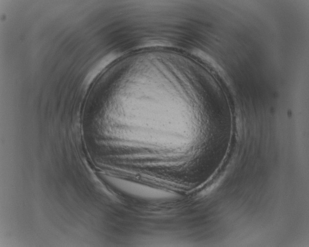 X0000077381129200611101723