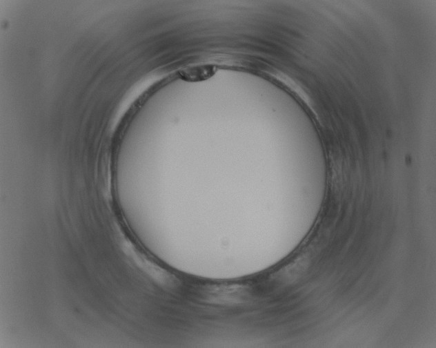 X0000077381131200611101723