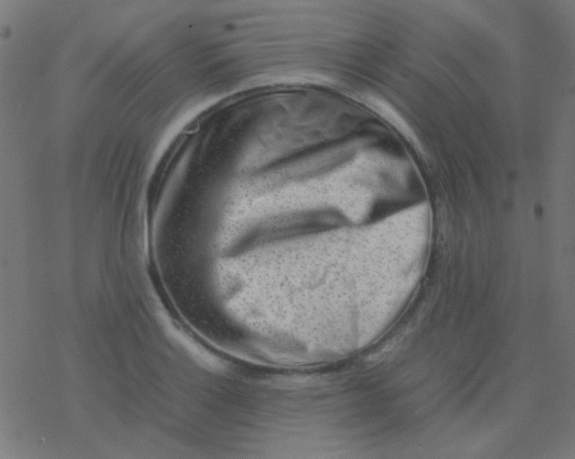 X0000077381132200611101723