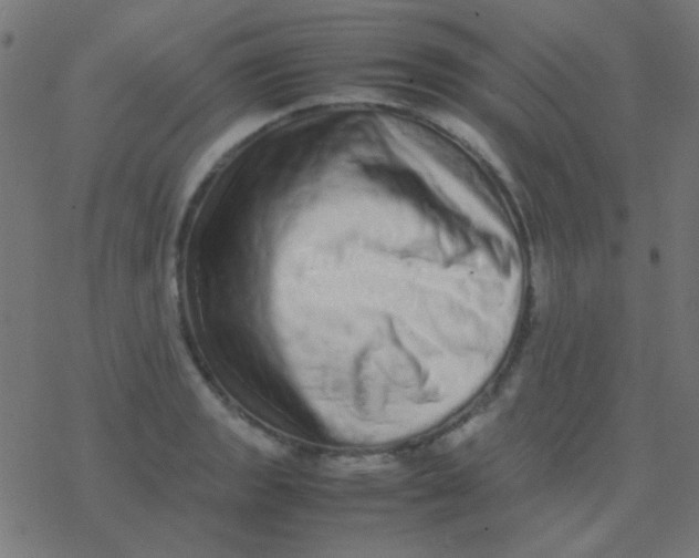 X0000077381133200611101723